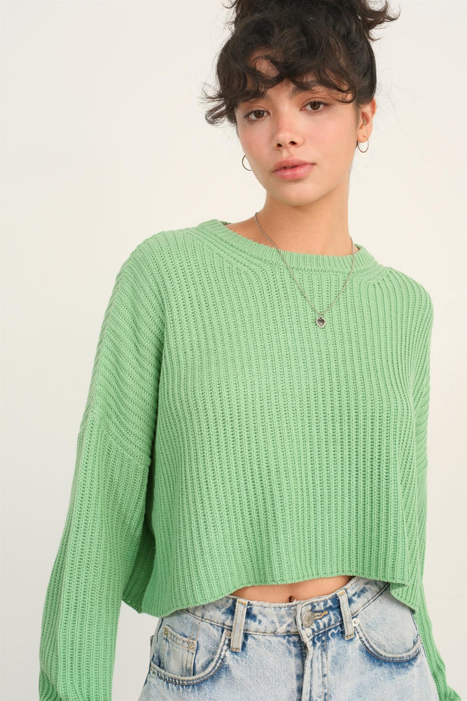 Freshly Minted cropped knit sweater top