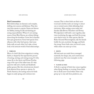 Pocket Nature: Bird-Watching Book