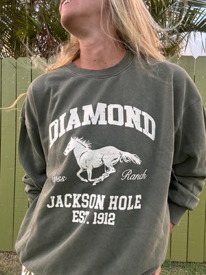 ZSUPPLY Diamond Sunday sweatshirt