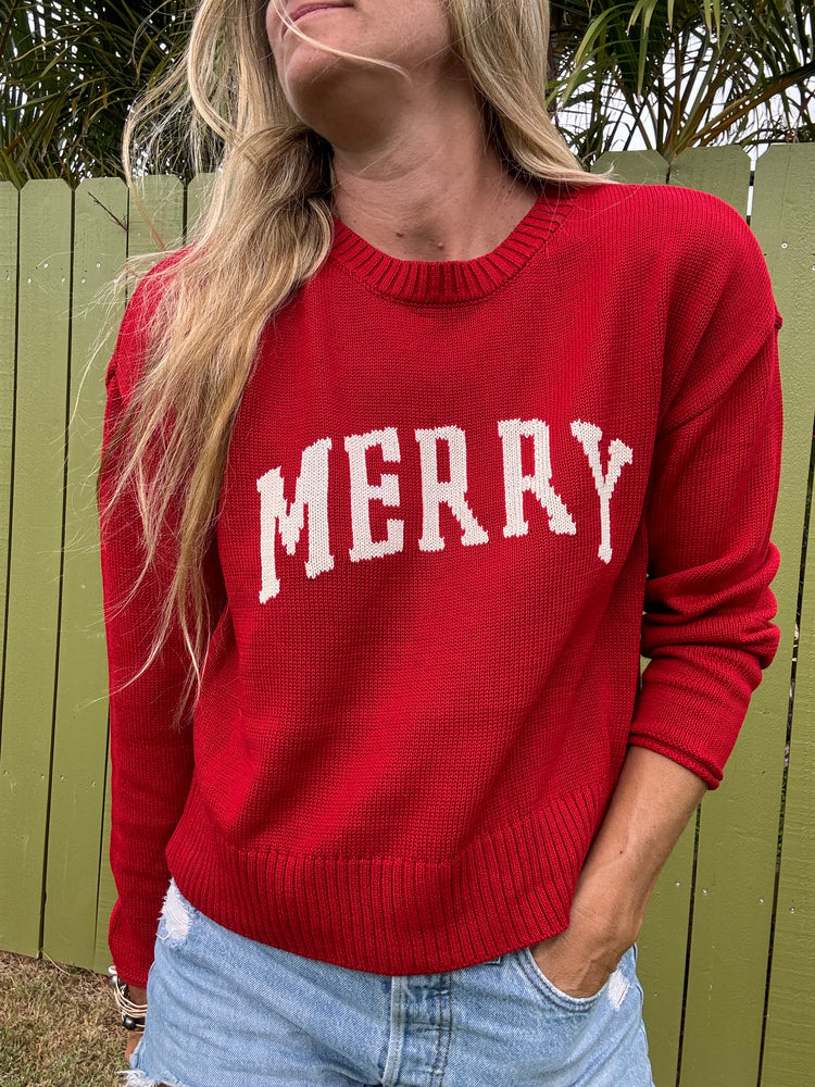 ZSUPPLY Sienna Merry sweater