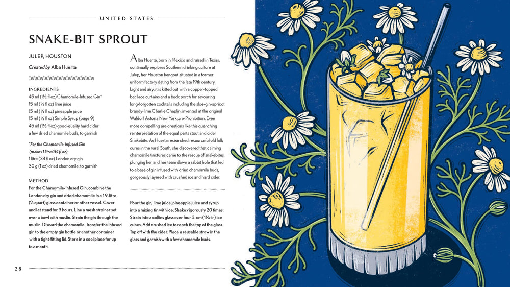 Behind the Bar: Gin book