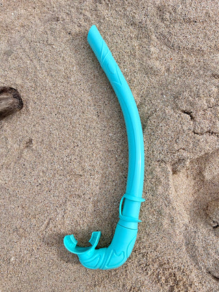 Sea Dive Snorkel