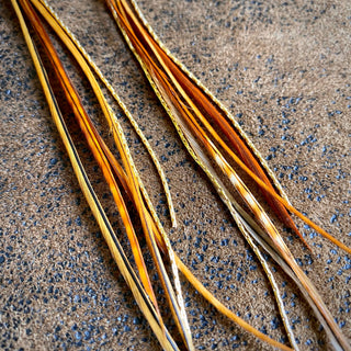 Mini Feather Earrings - Natural Mix/Gold, Boho Western