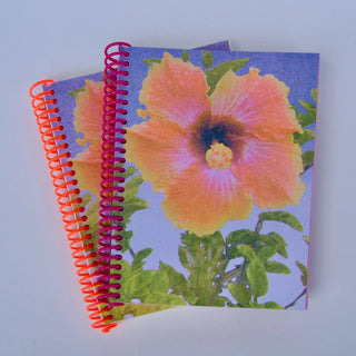 PENCIL URCHIN PRESS Notebooks