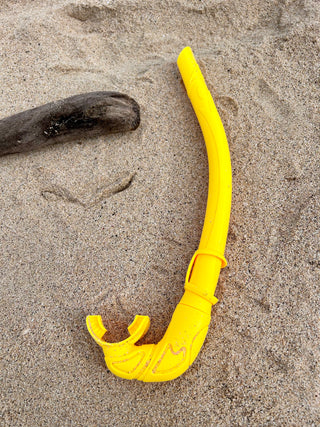 Sea Dive Snorkel