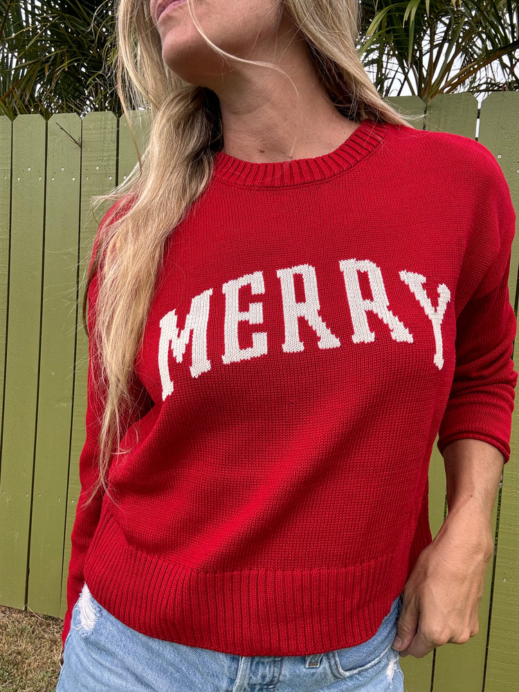 ZSUPPLY Sienna Merry sweater