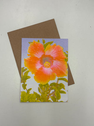 PENCIL URCHIN PRESS Greeting Cards | The Salty Babe