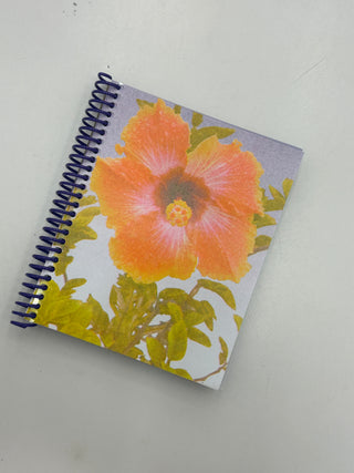 PENCIL URCHIN PRESS Notebooks | The Salty Babe