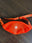 Neon Orange