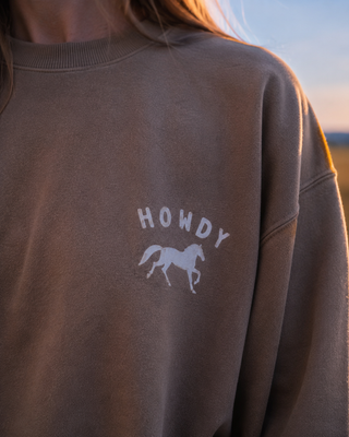 A close-up of a person wearing a brown crewneck sweatshirt with a white graphic on the chest that reads 'HOWDY' above a running horse silhouette.