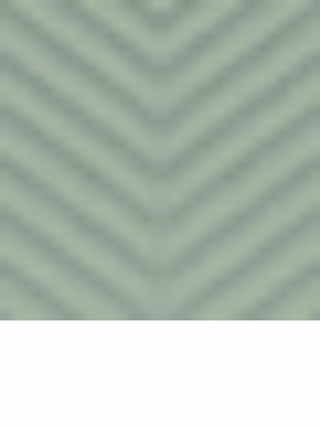 NIKIBIKI Chevron Ribbed Crop Top