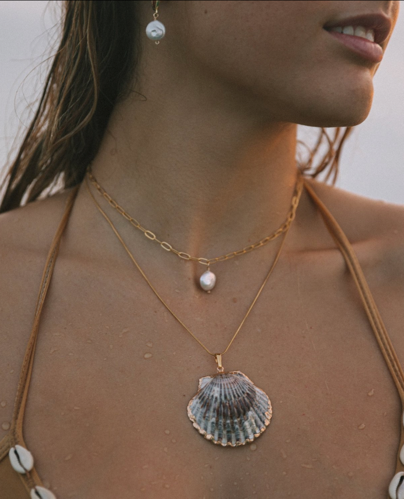 Scallop Shell necklace