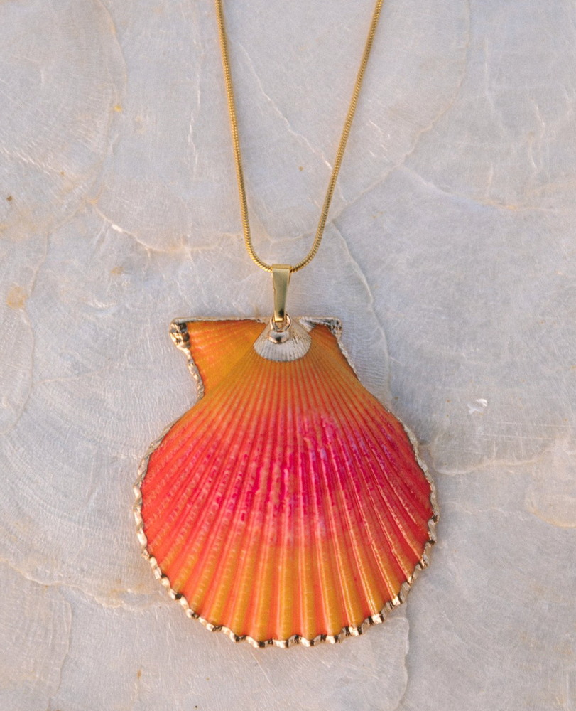 Scallop Shell necklace