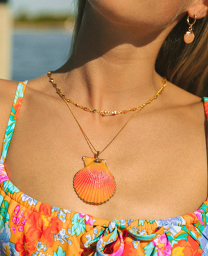 Scallop Shell necklace