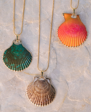 Scallop Shell necklace