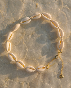 Puka Shell Choker necklace