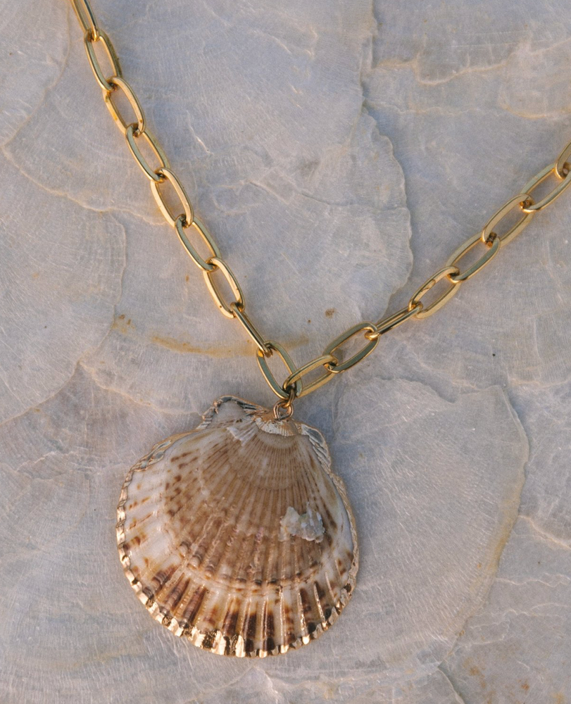 Scallop Shell chain necklace