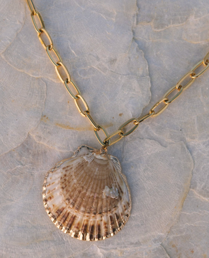 Scallop Shell chain necklace