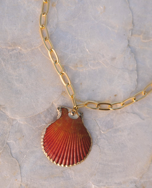 Scallop Shell chain necklace