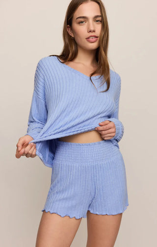 ZSUPPLY Daydreamer Soft V-Neck Long Sleeve Top in Crystal Blue