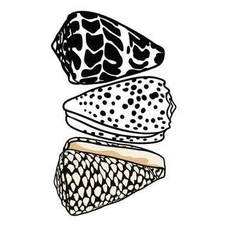 Aloha Collectives Air Freshener | The Salty Babe
