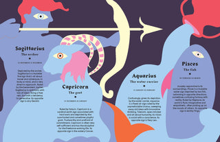 Capricorn: Harness the Power of the Zodiac book - The Salty BabeBooks