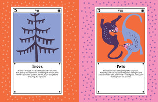 Capricorn: Harness the Power of the Zodiac book - The Salty BabeBooks