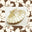 Ivory Clam Shell