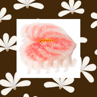 Coconut Collective Claw Clips - The Salty BabeHair Accessories