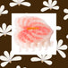 Anthurium