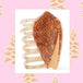Textile Cone Shell