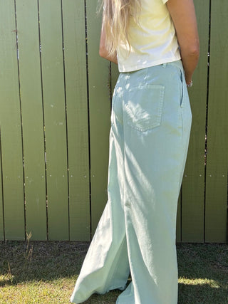 Frankie High Waist Basic Wide Leg Pants - The Salty BabePants