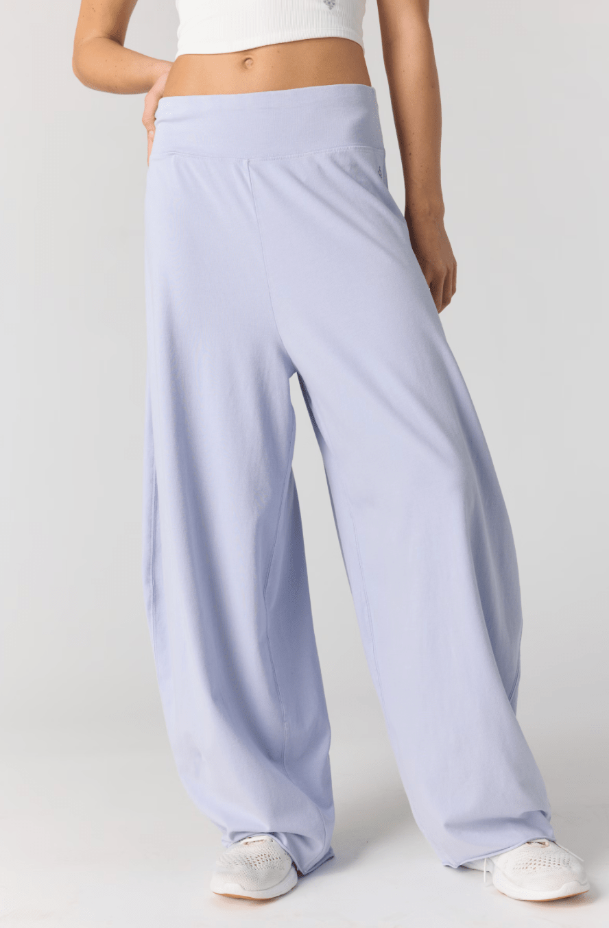 FREE PEOPLE Hot Shot Easy Pants - Slate - The Salty BabePants