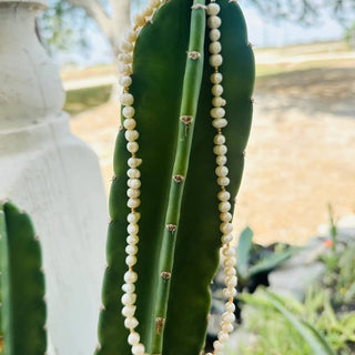 Golden Hour Strand Necklace - The Salty BabeJewelry