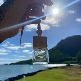 Hanging Lei Diffuser - The Salty BabeBeauty