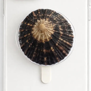Holoholo Pop Socket - The Salty BabeAccessories
