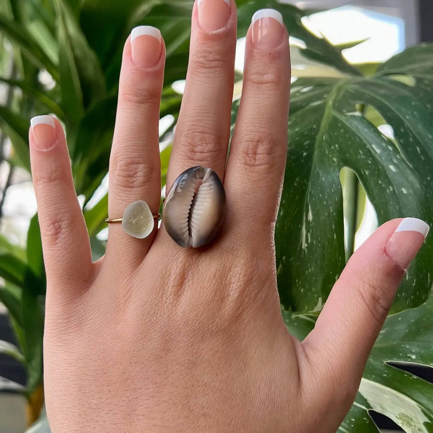 Honey Cowrie Gold Ring - The Salty BabeRings