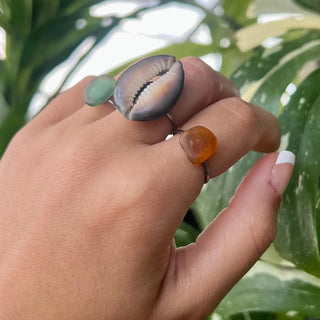 Honey Cowrie Gold Ring - The Salty BabeRings