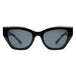 Black/Smoke Polarized