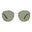 Tort/Green Polarized