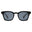 Black/Smoke Polarized