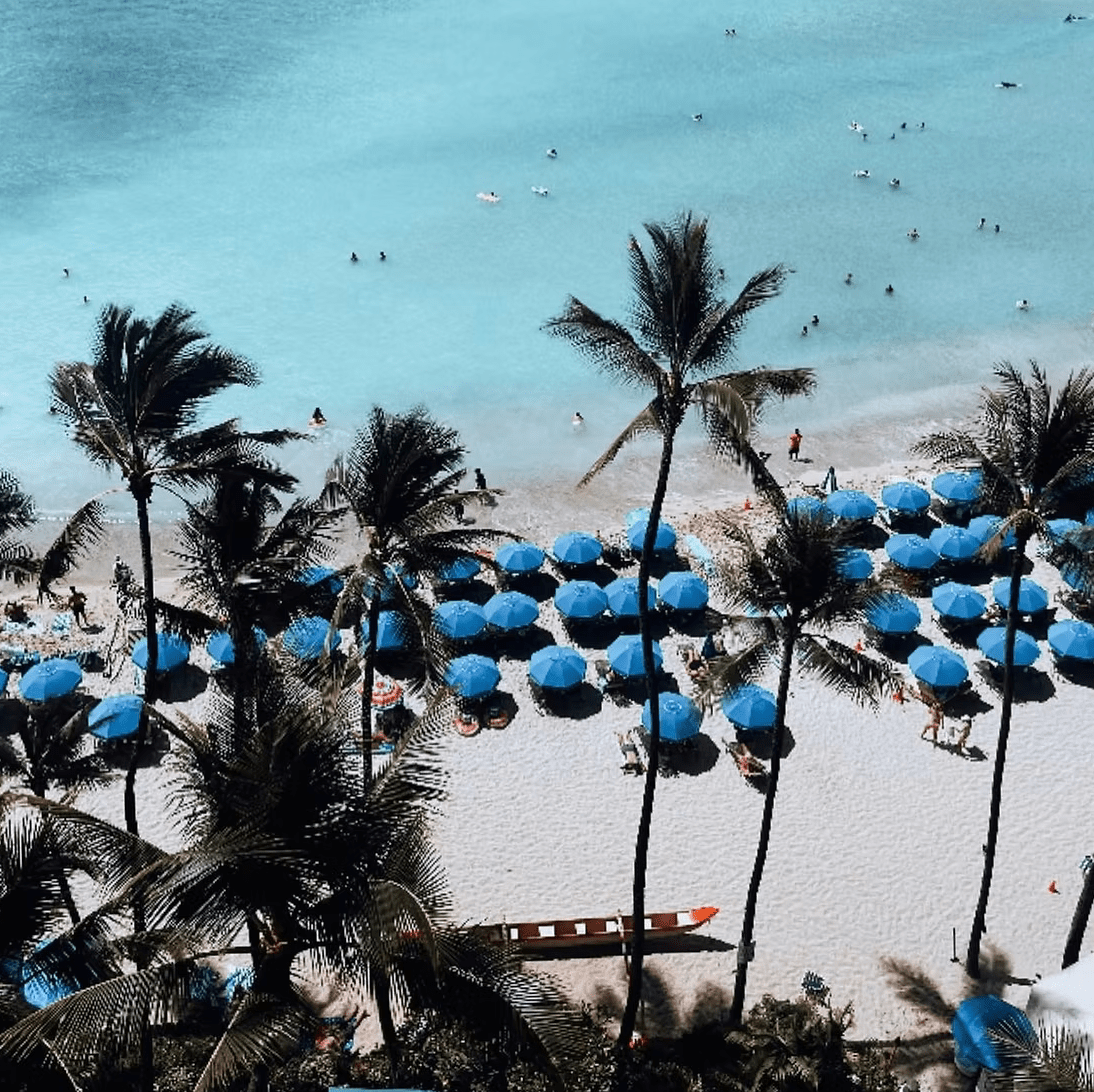 LAS OLITAS Pouch - Waikiki - The Salty BabePouch