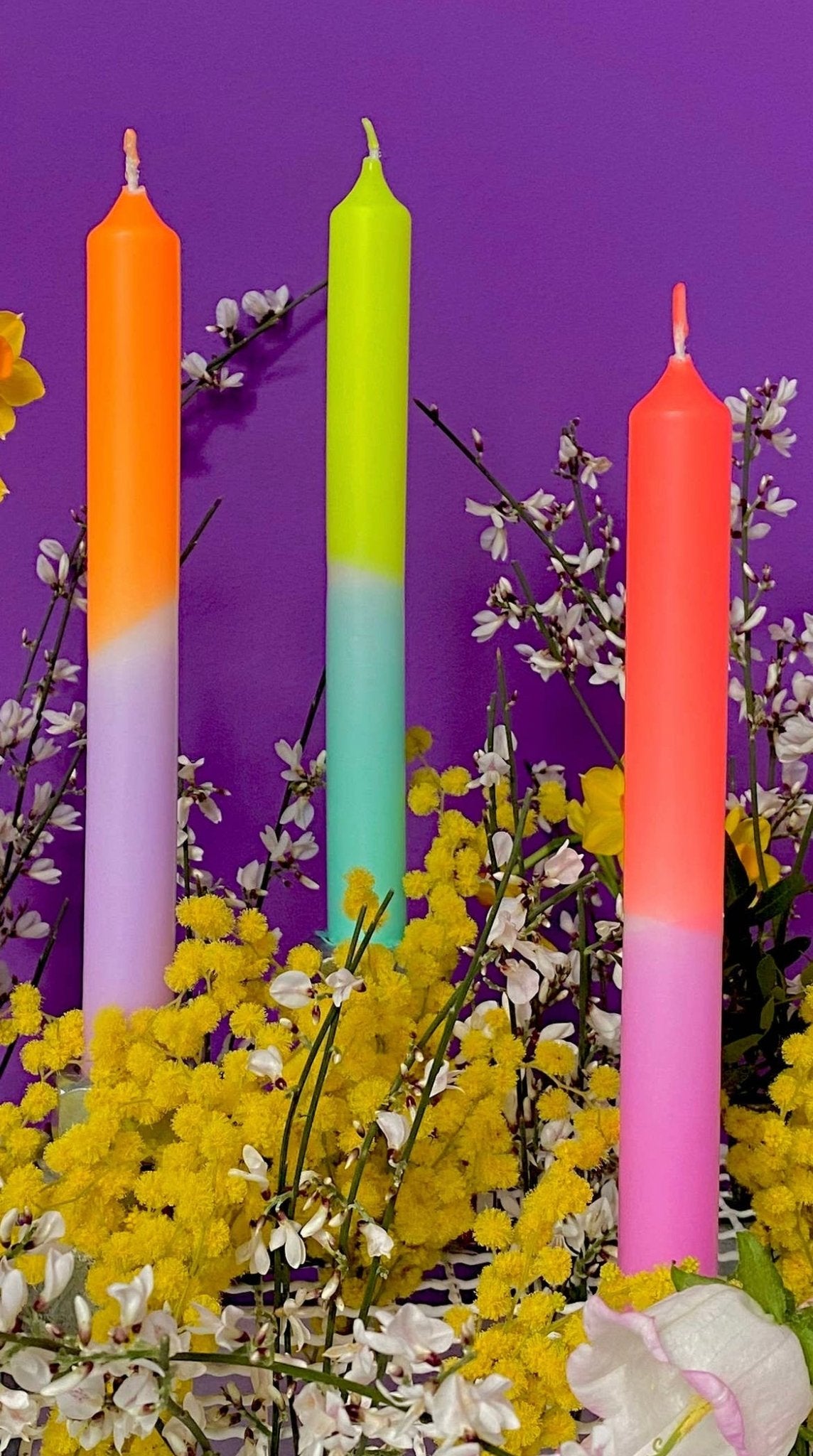 Neon Tall Candles - The Salty BabeCandle