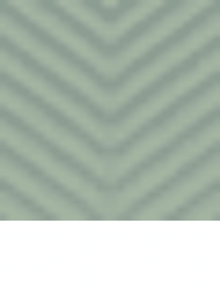 NIKIBIKI Chevron Ribbed Crop Top - The Salty BabeTop