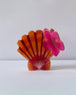 Hibiscus Sunrise Shell (Large)
