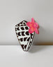 Plumeria Hebrew Shell