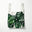 Monstera