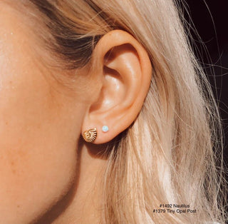 SG Nautilus Shell Post - The Salty BabeJewelry