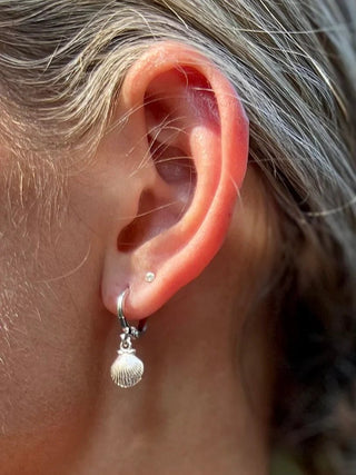 SG Scallop Shell huggie earring - The Salty BabeJewelry