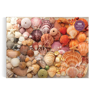 Vibrant Seashells Puzzle - The Salty BabePuzzle